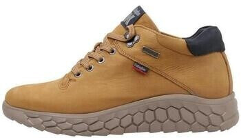 Bota Callaghan 60100 Panamá